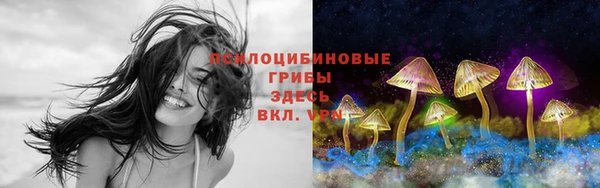 apvp Краснослободск
