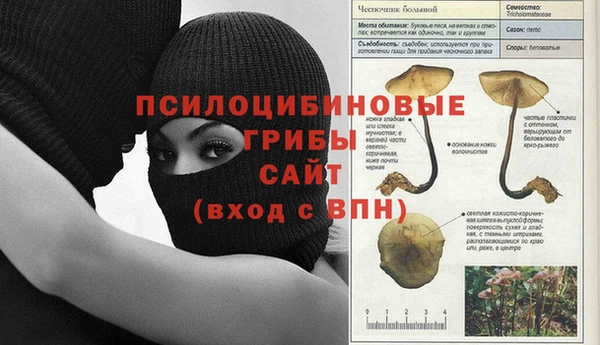 бошки Корсаков