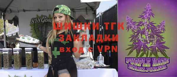apvp Краснослободск