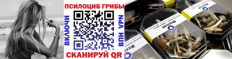 Псилоцибиновые грибы Cubensis Купить где Рубцовск